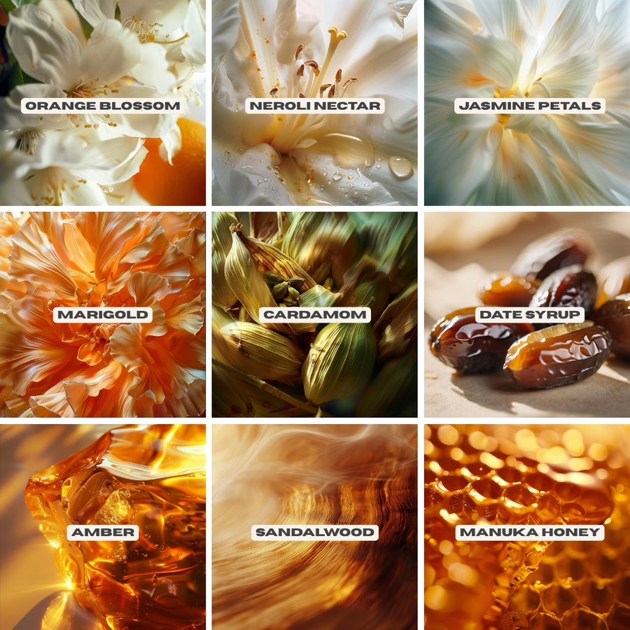 BODY WATER Ingredients | OUI the People